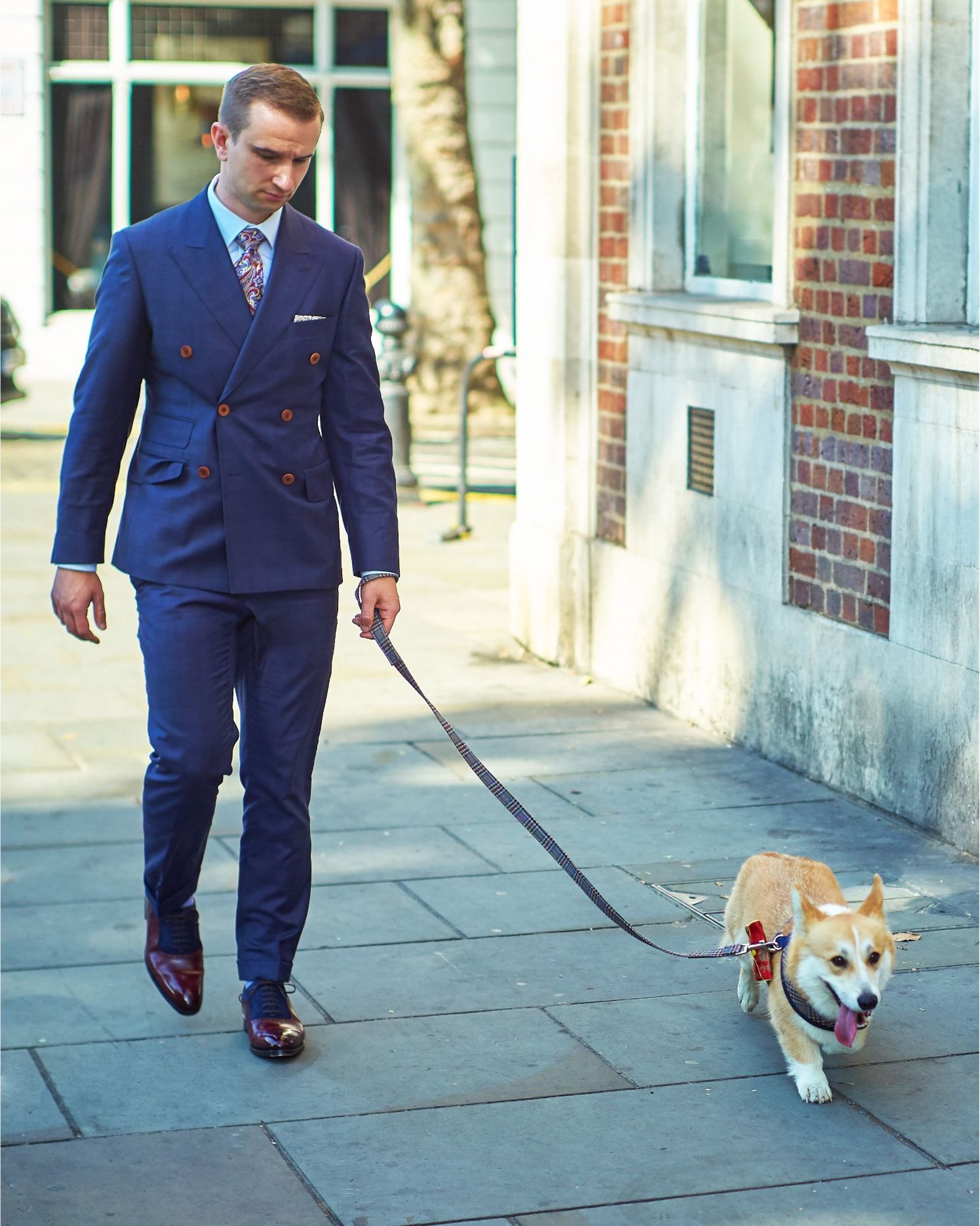 Made-to-measure navy double-breasted suit worn walking a corgi through a London street